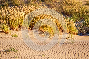 Sand and grass