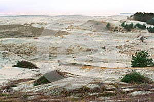 Sand dune, the sand and the grass on the hilly shore of the sea