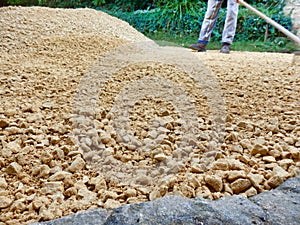 Sand and Gravel Path