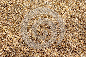 Sand gravel texture on the beach for background. Top view