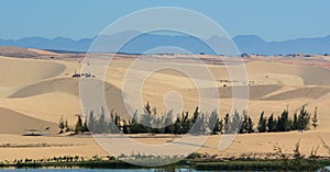 Sand hills with green trees in Phan Thiet, Vietnam