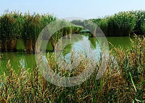 Sand lake, China yinchuan scenery