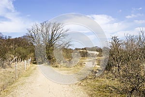 Sand landscape, National Park Zuid Kennemerland, The Netherlands photo