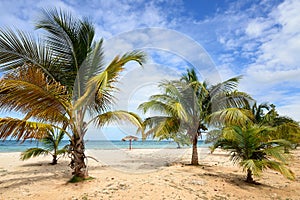 Las Coloradas beach in Cuba photo