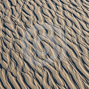 Sand is light colored enhancing the contrast between raised and