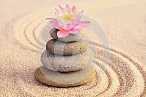 Sand, lily and spa stones in zen garden
