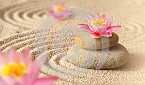 Sand, lily and spa stones in zen garden