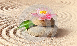 Sand, lily and spa stones in zen garden