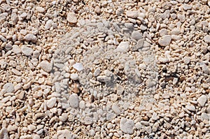 Sand made of pebbles in a beach at Cozumel Island, Quintana Roo, Mexico.