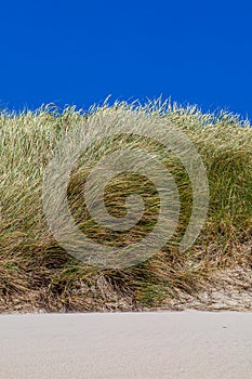 Sand, Marram Grass and Blue Sky