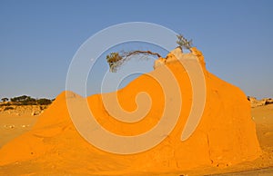 Sand Mound with Moon in the Pinnacle Desert: Western Australia