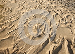 Sand and mud pattern