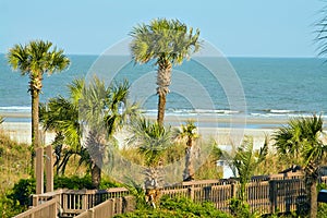 Sand Palms Ocean