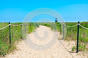 Sand Path on a Beach in Rogers Park Chicago with Native Plants and a Light Beacon