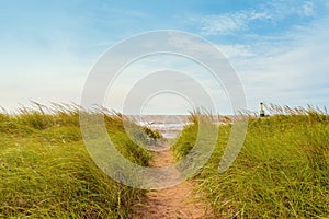 Sand path over dunes with beach grass