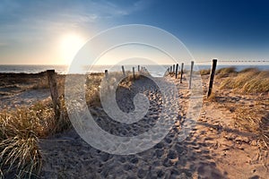 Sand path to North sea beach