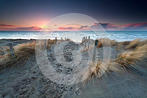 Sand path to North sea beach at sunset