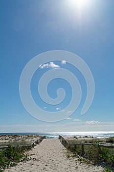 Sand path to Surfer`s Paradise beach photo