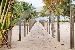 Sand path between tropical trees to the Caribbean ocean in Placencia, Belize