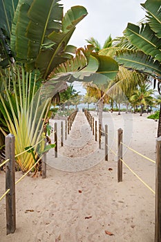 Sand path between tropical trees to the Caribbean sea in Placencia, Belize