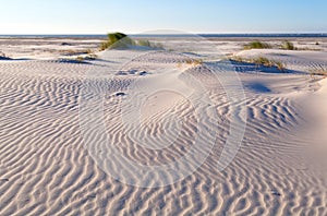 Sand pattern on coastal dune