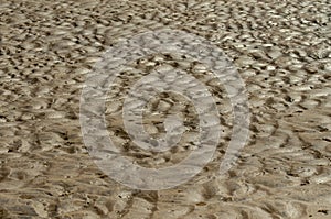 Sand pattern on a beach