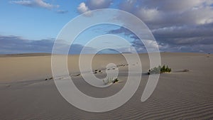 Sand pattern, Park Natural, Corralejo, Fuerteventura, Canary islands