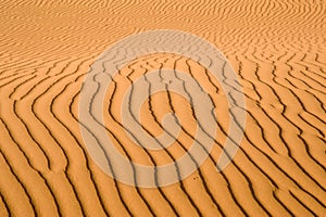 Sand pattern, riffles in desert sand.