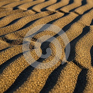 Sand patterns create a mesmerizing visual with alternating light