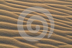 Sand patterns in dunes of Maspalomas