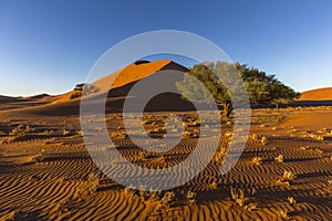 Sand patterns in early morning light