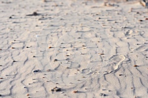 Sand patterns with human footprints in Juan Lacaze's Beach, Colonia, Uruguay photo