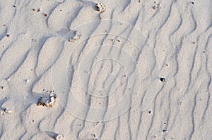 Sand patterns in Juan Lacaze's Beach, Colonia, Uruguay photo