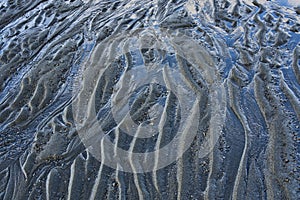 Sand patterns at low tide