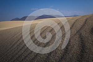 Sand patterns Natural park,Corralejo,Canary-islands,Spain