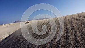 Sand patterns Natural park,Corralejo,Canary-islands,Spain