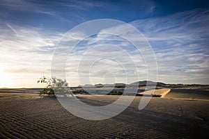 Sand patterns Natural park,Corralejo,Canary-islands,Spain