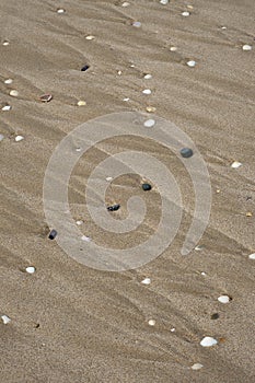 Sand and pebble patterns created by tidal water