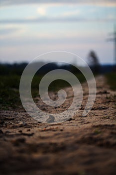 Sand and pebbles on a field path with view into the evening horizon