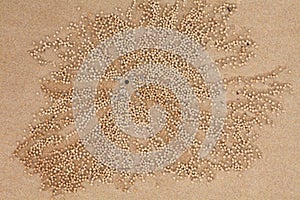 Sand pellets crab art unique nature at the beach
