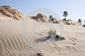 Sand and petrified dunes