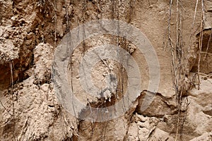 sand pit, background texture of sand and tree roots