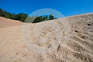 Sand pit at Grunewald forest, Berlin