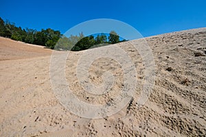 Sand pit at Grunewald forest, Berlin photo