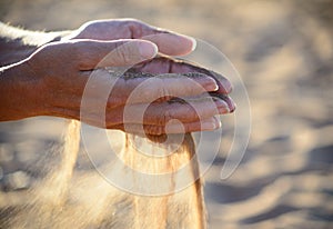 Sand pours out of the hands