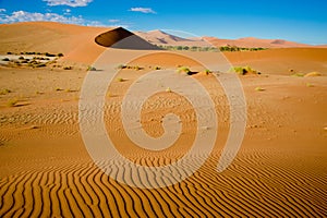 Sand riffles in desert and dunes in Namib Desert, Namibia. Orange dunes in Sossusvlei, Namibia