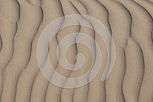 Sand Ripple Patterns