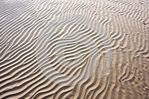 sand ripple patterns on ocean bed after tide