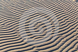 Sand ripple waves in the desert or on the beach on sunny day. Sandy desert abstract texture background at sunset. Windy day