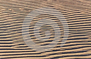 Sand ripple waves in the desert or on the beach on sunny day. Sandy desert abstract texture background at sunset. Windy day